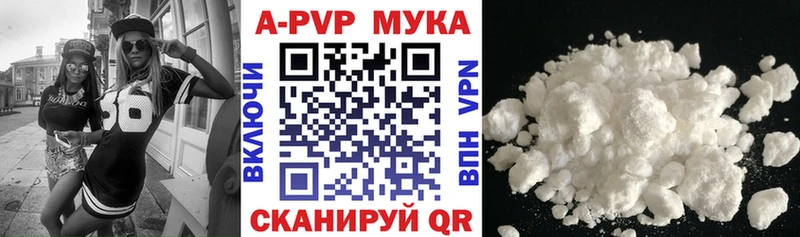 Альфа ПВП СК КРИС  Ростов 