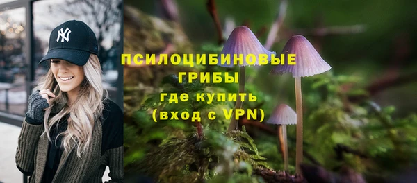 таблы Верхний Тагил