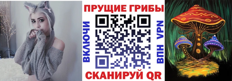 купить наркоту Ростов Псилоцибиновые грибы Psilocybe